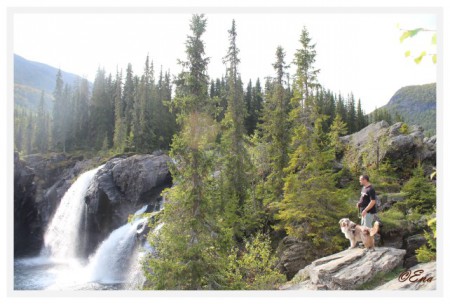 ein Wasserfall - en foss